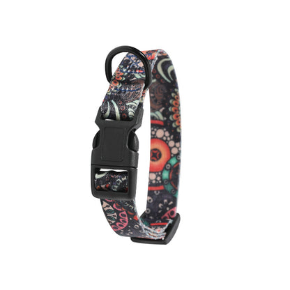 Durable Dog Leash and Collar Set with colorful patterned adjustable dog collar and sturdy black buckle