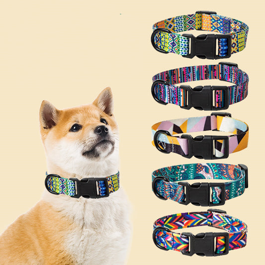 Durable Dog Leash and Collar Set with colorful patterned collars displayed and a dog wearing one collar