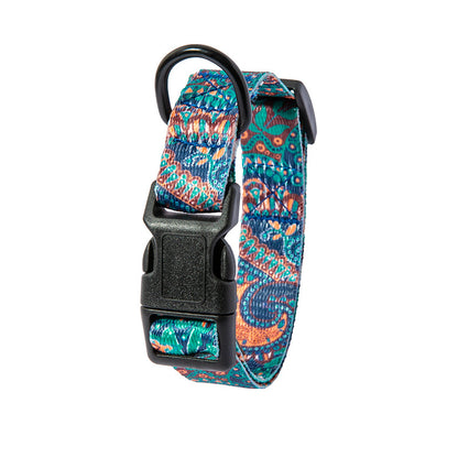 Durable Dog Leash and Collar Set with colorful patterned adjustable dog collar and black buckle
