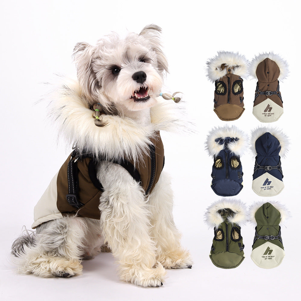 Dog wearing a brown coat with matching boots on a white background
