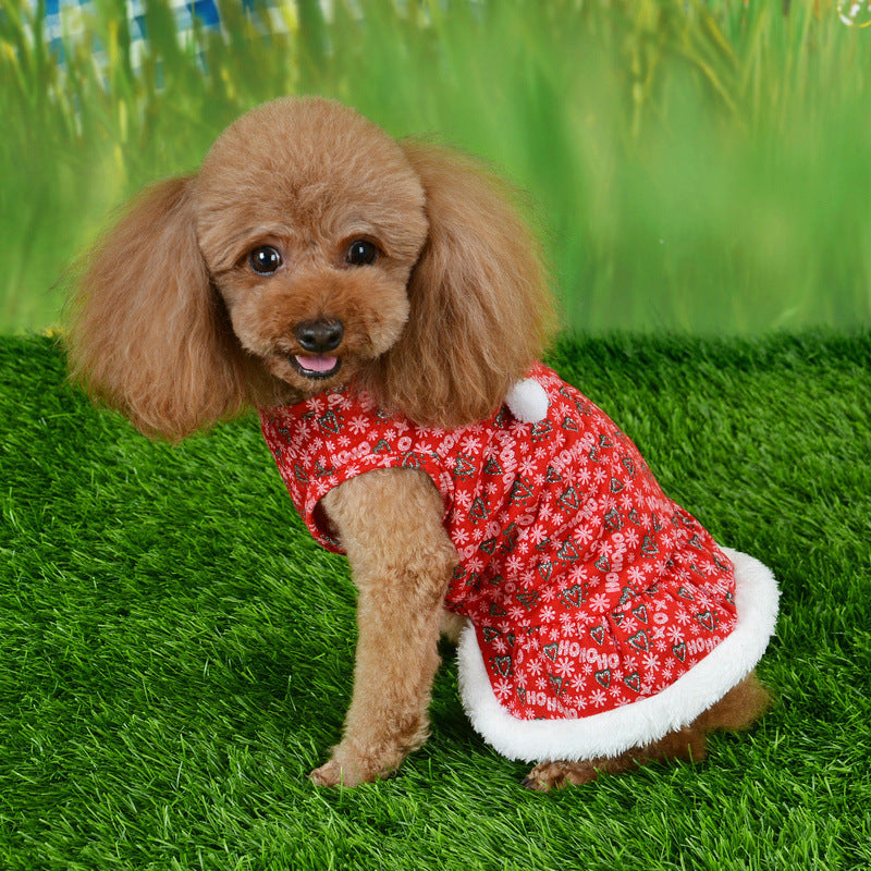 Cute dog wearing a festive Christmas pet dress with red and white snowflake print for holiday celebrations