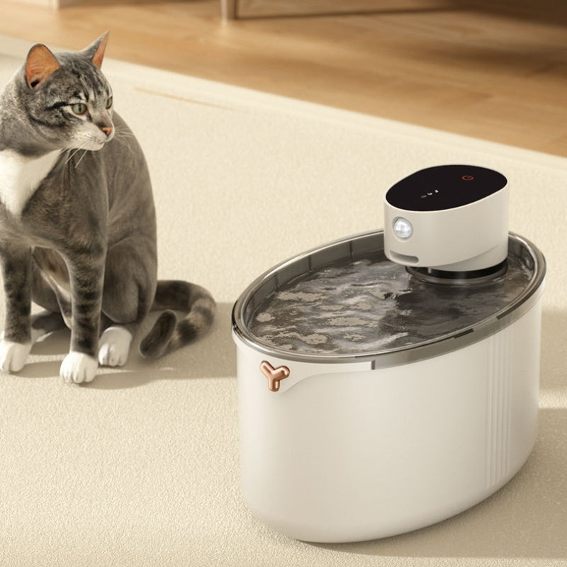 Smart cat water fountain with innovative design and a cat sitting nearby for hydration and comfort