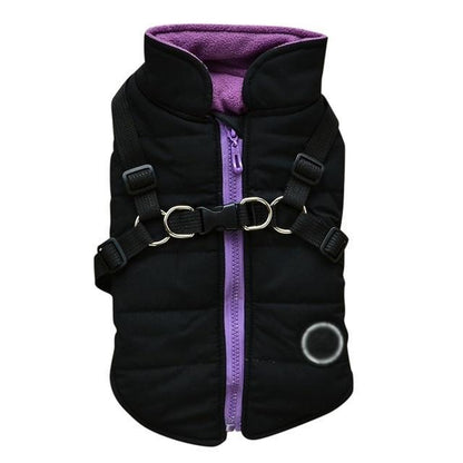 Black and purple dog zipper jacket with adjustable harness straps for pet comfort