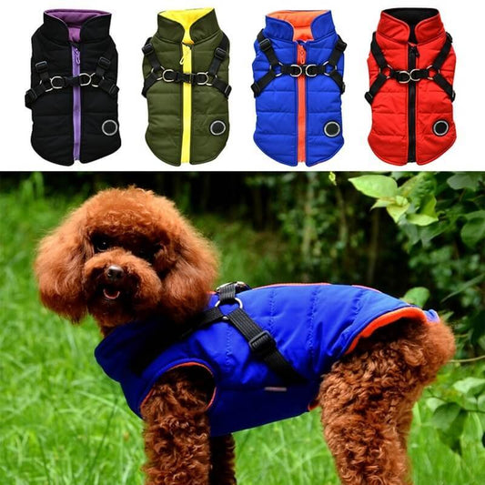 Colorful dog zipper jackets in black, green, blue, and red with harness straps and reflective rings