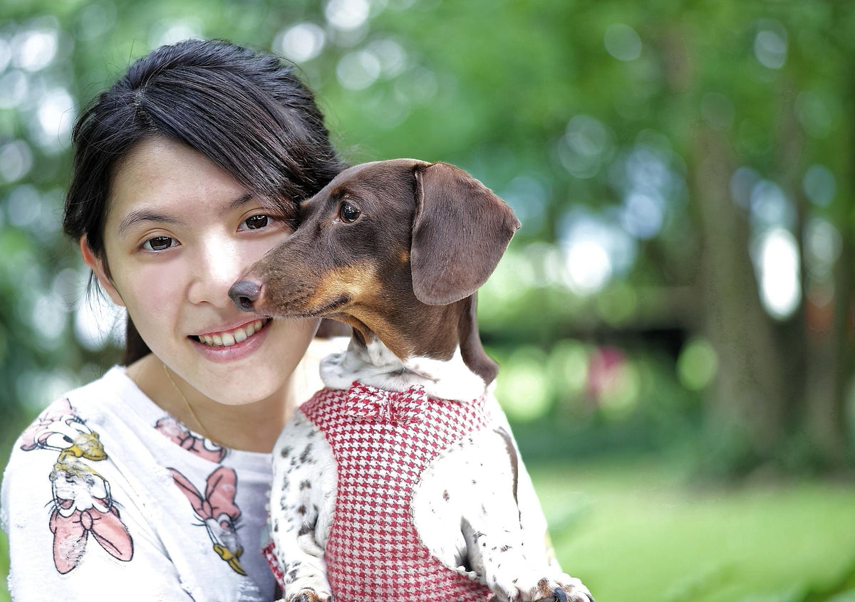 Woman with a small dog in a park setting
