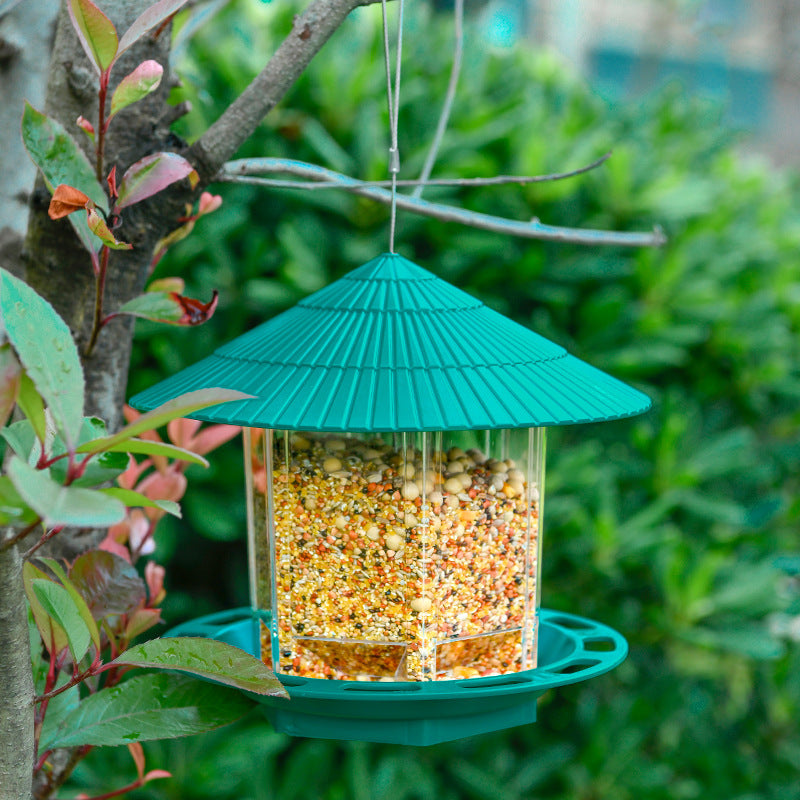 Transparent Bird Feeder with green roof filled with mixed bird seeds hanging on tree branch outdoors
