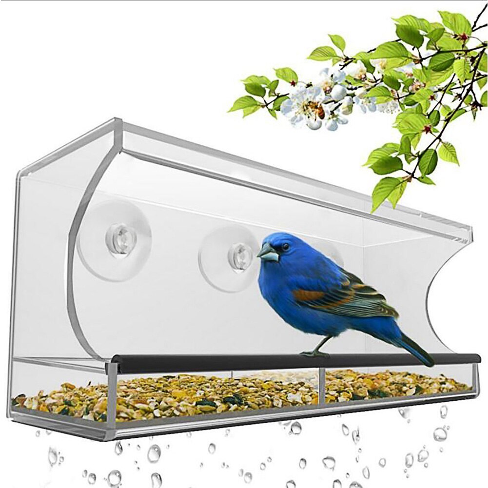 New Bird Pet Feeder with clear acrylic design and suction cups featuring a blue bird perched on seed tray