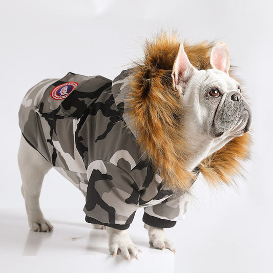 camouflage winter coat for dogs on white French bulldog with faux fur hood and warm insulated lining