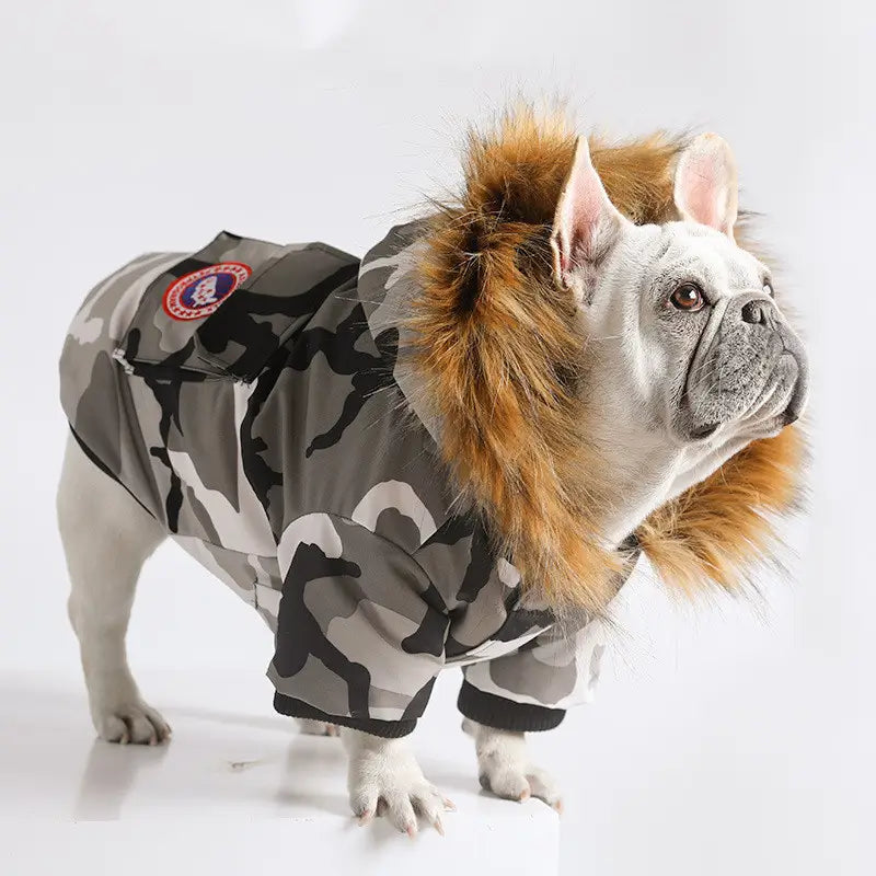 Dog wearing a camouflage outfit with a lion mane accessory on a white background
