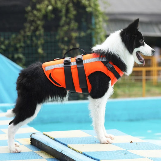 Border Collie wearing orange Reflective Dog Life Jacket Vest with handle and adjustable straps by a pool