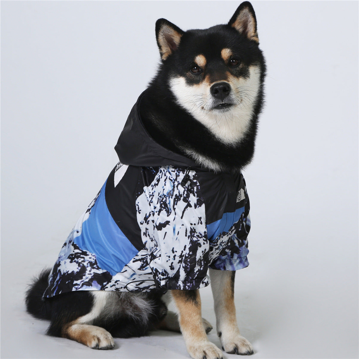 Furfamilyclub windproof dog jacket on a black and tan Shiba Inu with blue patterned hooded coat
