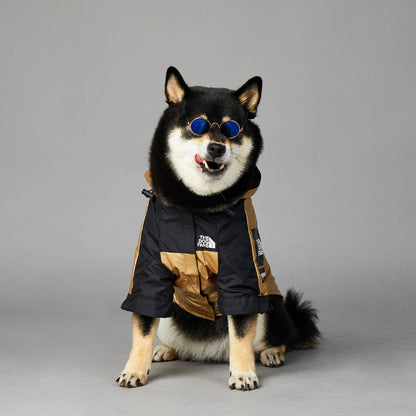 Black and tan dog wearing a durable raincoat for large dogs with sunglasses on gray background