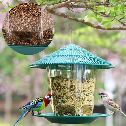 Transparent Bird Feeder with teal roof hanging from tree branch, filled with birdseed and two birds feeding