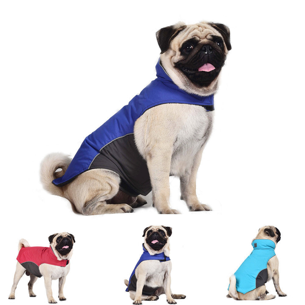 Pug wearing colorful vest jacket dog clothes in blue, red, and light blue for pet comfort