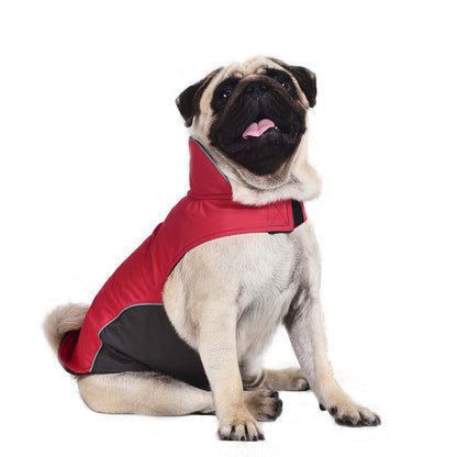 Pug wearing a red and black vest jacket dog clothes designed for animal comfort