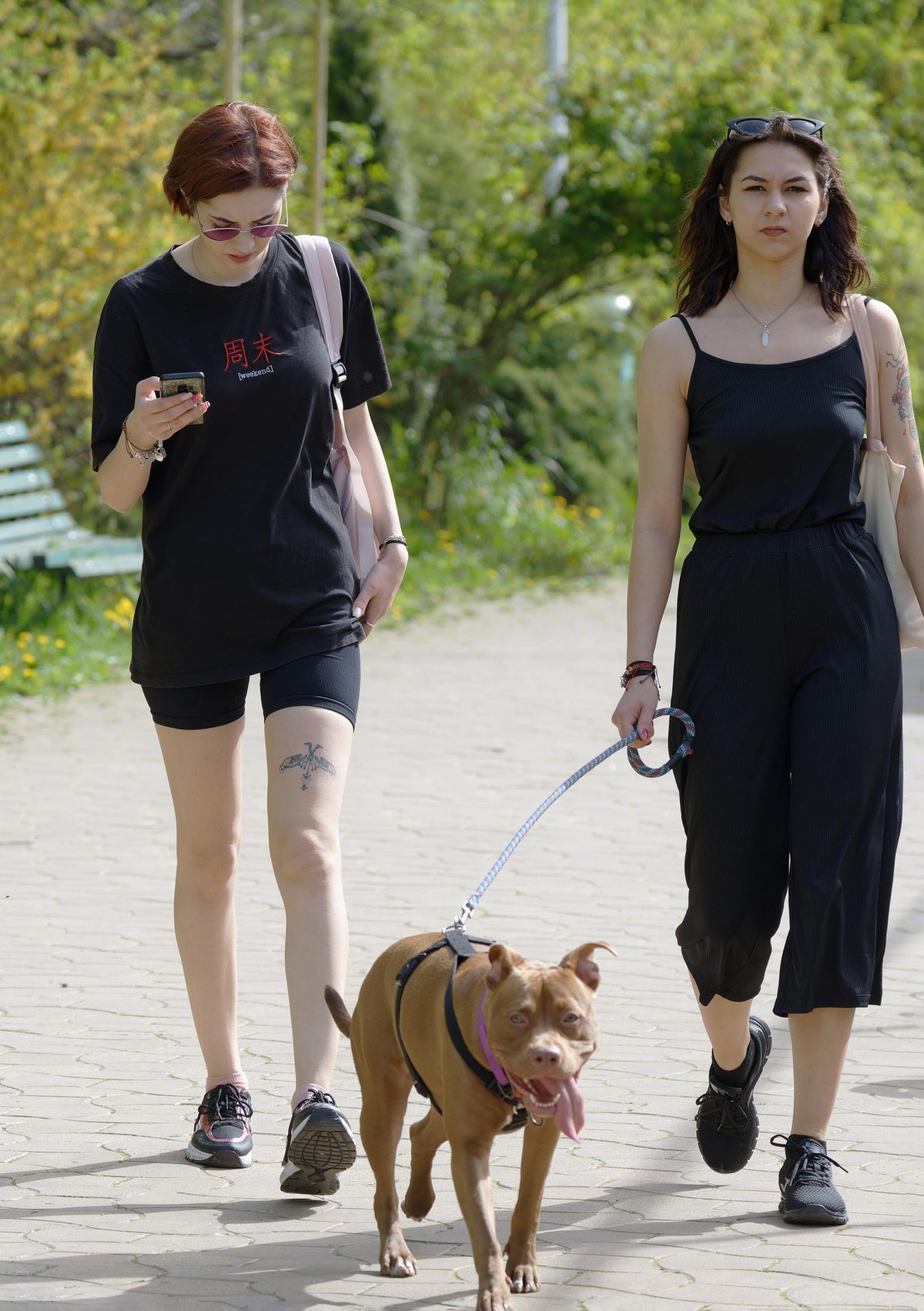 Two women walking a dog on a path with greenery in the background